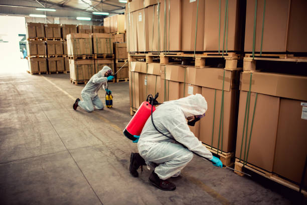 Best Emergency Pest Control  in Junction City, KS