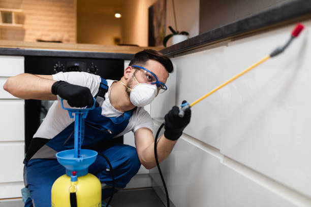 Best Pest Removal Services  in Junction City, KS