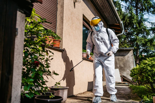 Best Cockroach Control Services  in Junction City, KS