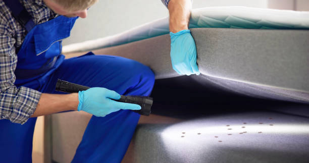 Best Commercial Pest Control Services  in Junction City, KS