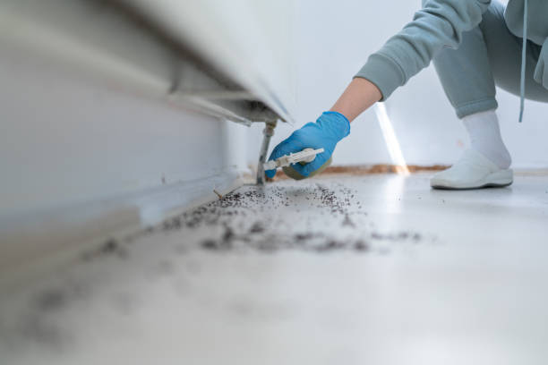 Best Pest Prevention Services  in Junction City, KS